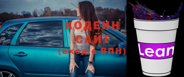СК Кукмор