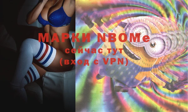 СК Кукмор