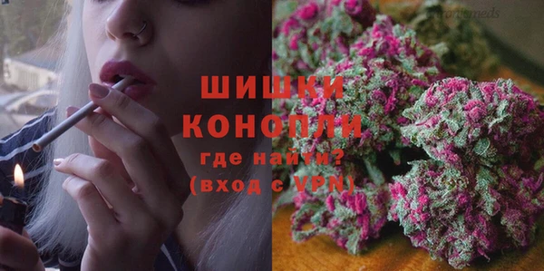 СК Кукмор