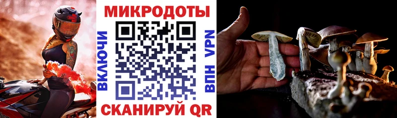 дарнет шоп Павловский Посад Псилоцибиновые грибы Magic Shrooms