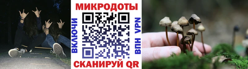 Галлюциногенные грибы GOLDEN TEACHER Павловский Посад