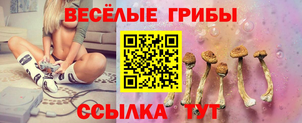 Псилоцибиновые грибы GOLDEN TEACHER  Галлюциногенные грибы ЛСД  Павловский Посад  Вход с VPN 